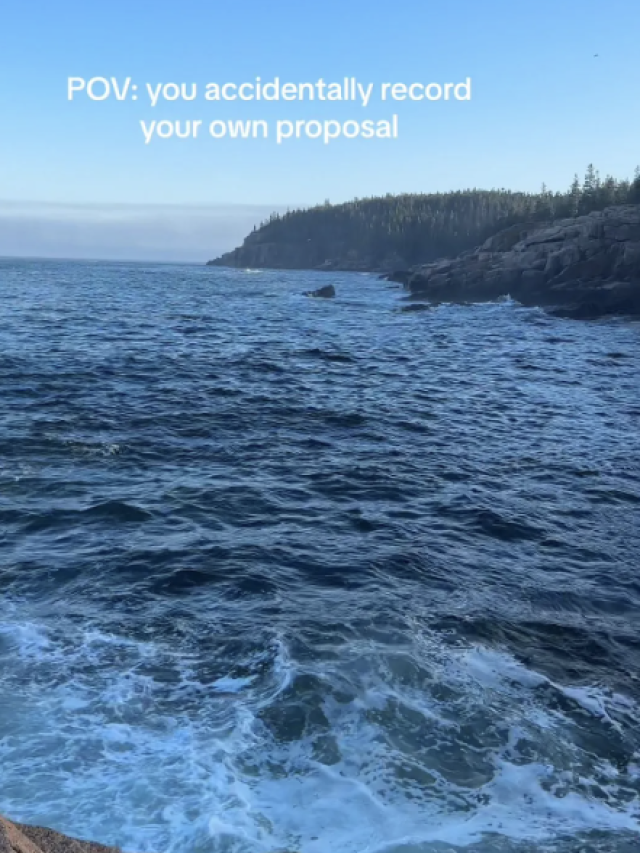 Woman’s Video Of Beautiful Scenery Captures A Surprise!